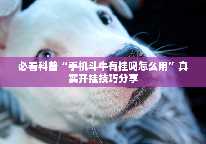 必看科普“手机斗牛有挂吗怎么用”真实开挂技巧分享