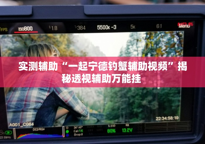 实测辅助“一起宁德钓蟹辅助视频	”揭秘透视辅助万能挂 