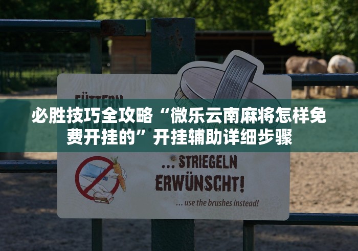 必胜技巧全攻略“微乐云南麻将怎样免费开挂的”开挂辅助详细步骤