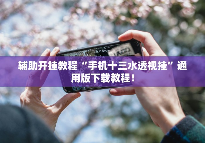 辅助开挂教程“手机十三水透视挂”通用版下载教程！