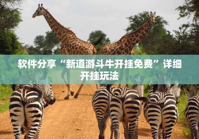 软件分享“新道游斗牛开挂免费	”详细开挂玩法