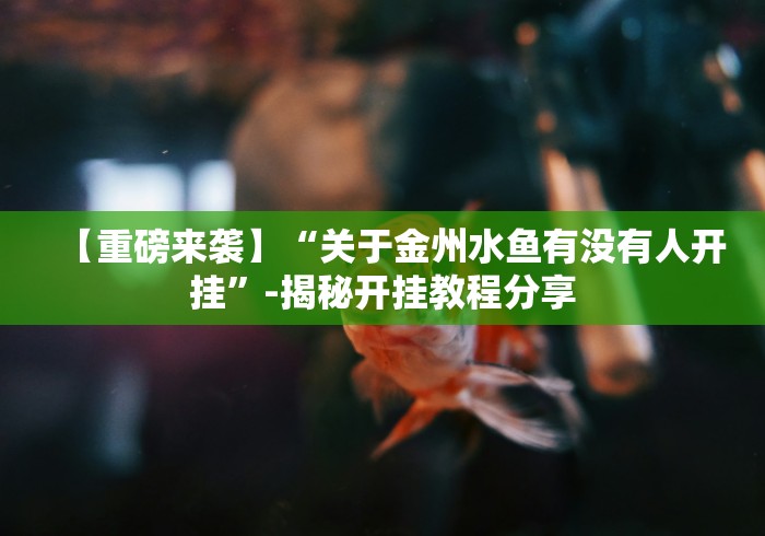 【重磅来袭】“关于金州水鱼有没有人开挂”-揭秘开挂教程分享