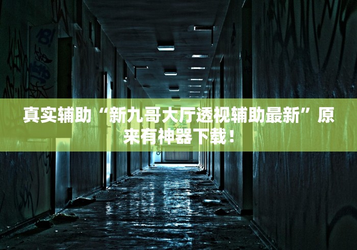 真实辅助“新九哥大厅透视辅助最新”原来有神器下载！