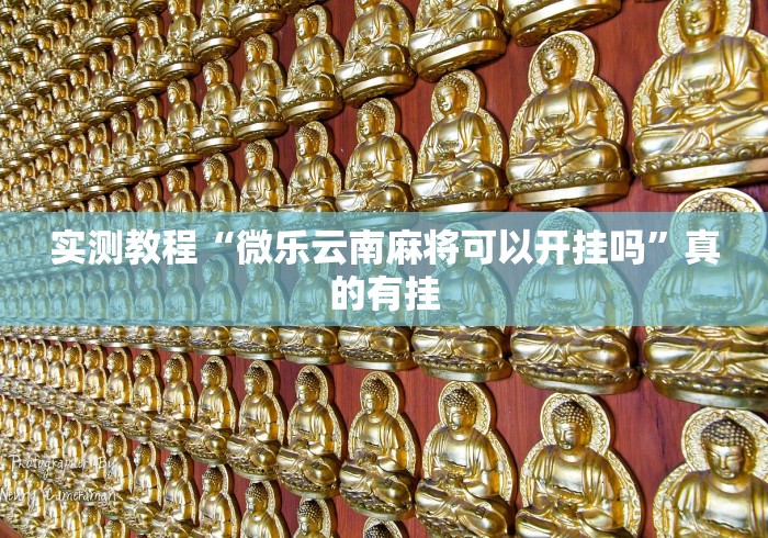 实测教程“微乐云南麻将可以开挂吗”真的有挂