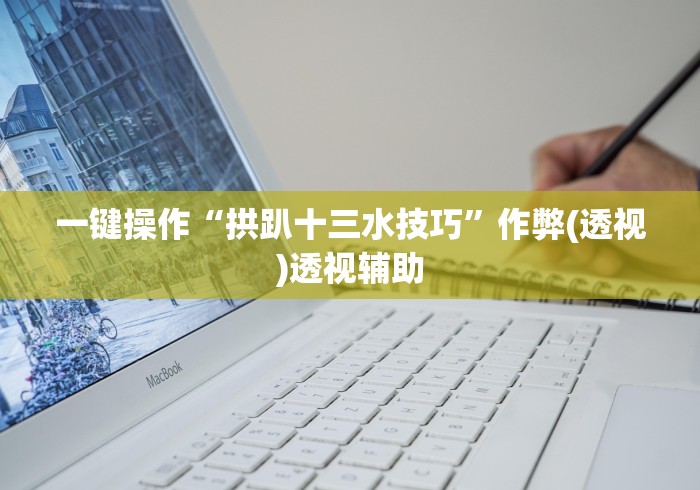 一键操作“拱趴十三水技巧”作弊(透视)透视辅助