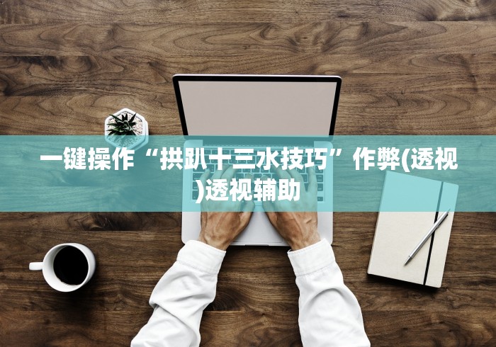 一键操作“拱趴十三水技巧”作弊(透视)透视辅助