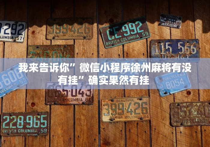 我来告诉你	”微信小程序徐州麻将有没有挂”确实果然有挂 