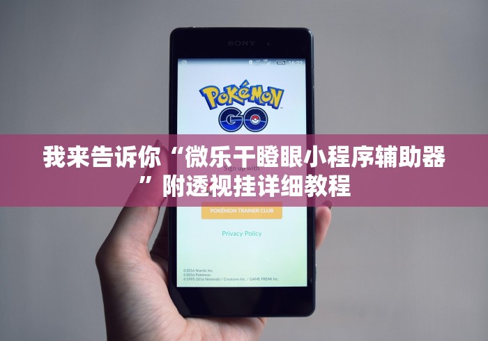 我来告诉你“微乐干瞪眼小程序辅助器”附透视挂详细教程