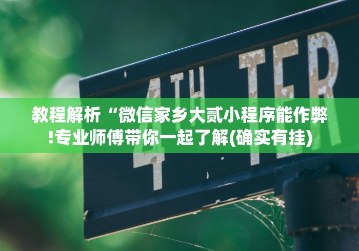 教程解析“微信家乡大贰小程序能作弊!专业师傅带你一起了解(确实有挂) 教程解析“微信家乡大贰小程序能作弊!专业师傅带你一起了解(确实有挂)
