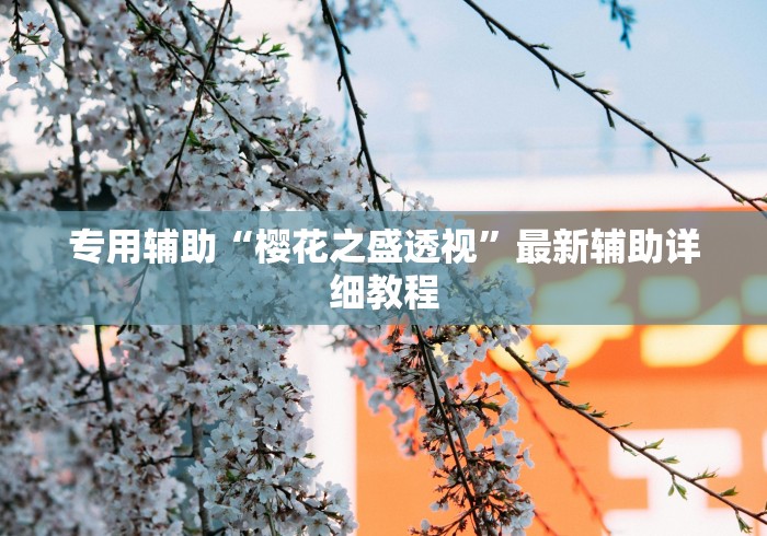 专用辅助“樱花之盛透视	”最新辅助详细教程