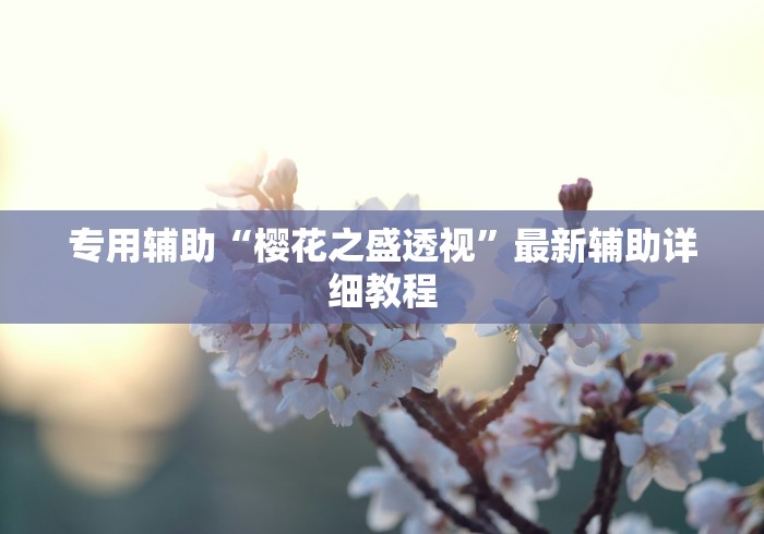 专用辅助“樱花之盛透视”最新辅助详细教程