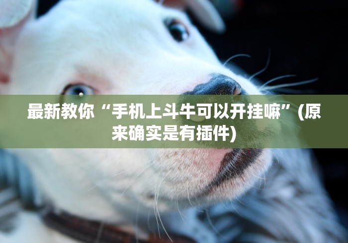 最新教你“手机上斗牛可以开挂嘛	”(原来确实是有插件)