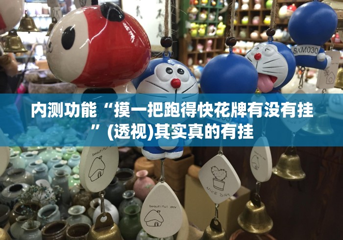 内测功能“摸一把跑得快花牌有没有挂”(透视)其实真的有挂