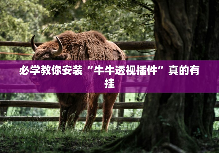 必学教你安装“牛牛透视插件	”真的有挂