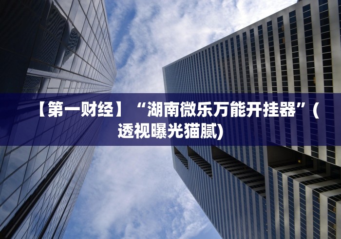 【第一财经】“湖南微乐万能开挂器”(透视曝光猫腻)