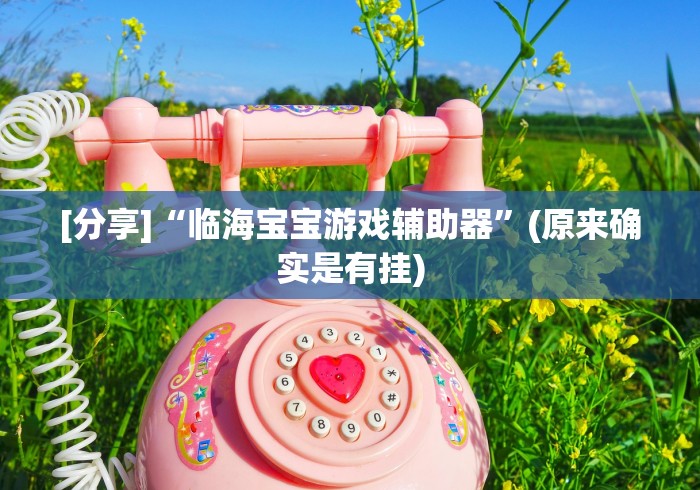 [分享]“临海宝宝游戏辅助器”(原来确实是有挂)