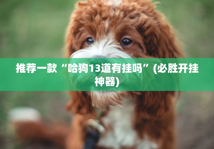 推荐一款“哈狗13道有挂吗”(必胜开挂神器)