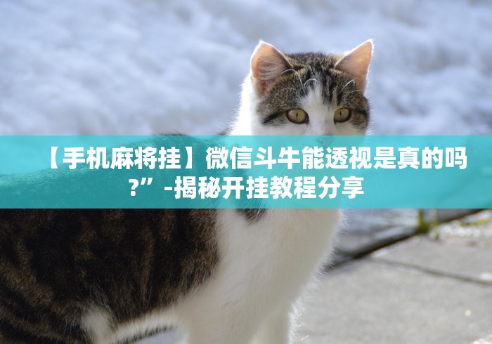 【手机麻将挂】微信斗牛能透视是真的吗?	”-揭秘开挂教程分享