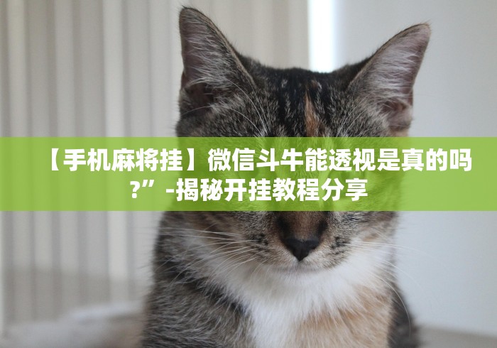 【手机麻将挂】微信斗牛能透视是真的吗?”-揭秘开挂教程分享