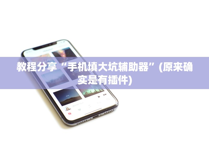 教程分享“手机填大坑辅助器”(原来确实是有插件)