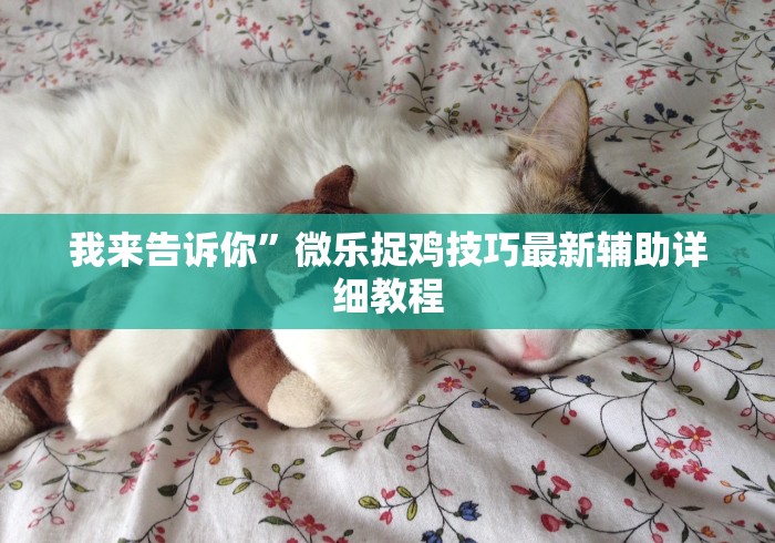 我来告诉你”微乐捉鸡技巧最新辅助详细教程