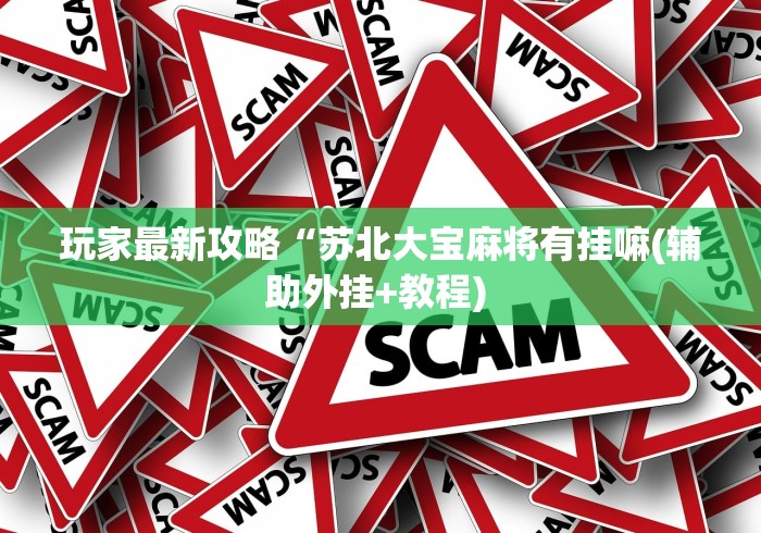 玩家最新攻略“苏北大宝麻将有挂嘛(辅助外挂+教程) 玩家最新攻略“苏北大宝麻将有挂嘛(辅助外挂+教程)