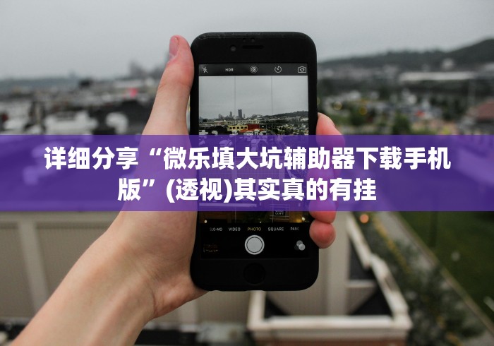 详细分享“微乐填大坑辅助器下载手机版”(透视)其实真的有挂