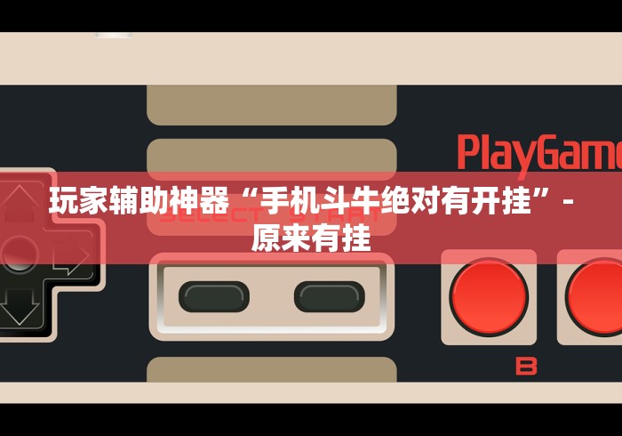 玩家辅助神器“手机斗牛绝对有开挂	”-原来有挂