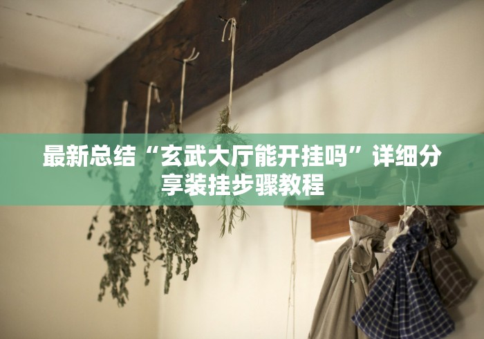最新总结“玄武大厅能开挂吗”详细分享装挂步骤教程
