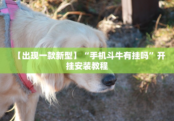 【出现一款新型】“手机斗牛有挂吗	”开挂安装教程