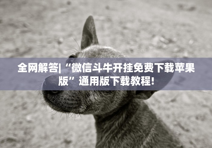 全网解答|“微信斗牛开挂免费下载苹果版”通用版下载教程!