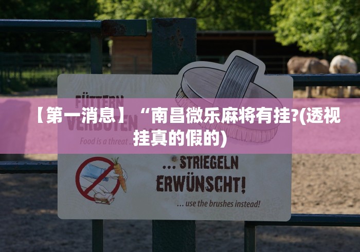 【第一消息】“南昌微乐麻将有挂?(透视挂真的假的)