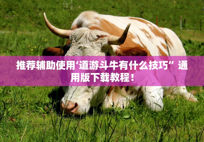 推荐辅助使用‘道游斗牛有什么技巧”通用版下载教程！