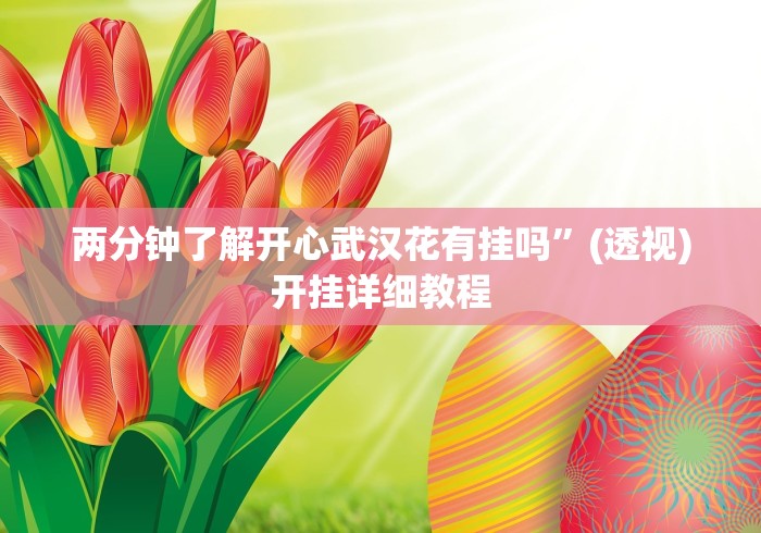 两分钟了解开心武汉花有挂吗”(透视)开挂详细教程