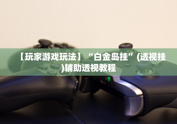 【玩家游戏玩法】“白金岛挂”(透视挂)辅助透视教程
