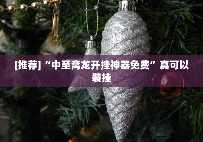 [推荐]“中至窝龙开挂神器免费	”真可以装挂