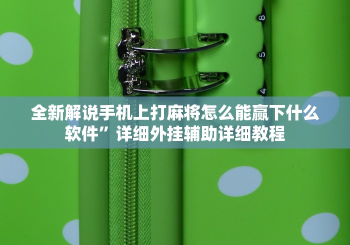 全新解说手机上打麻将怎么能赢下什么软件”详细外挂辅助详细教程