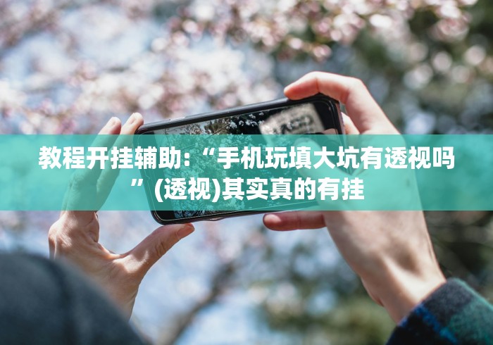 教程开挂辅助:“手机玩填大坑有透视吗”(透视)其实真的有挂