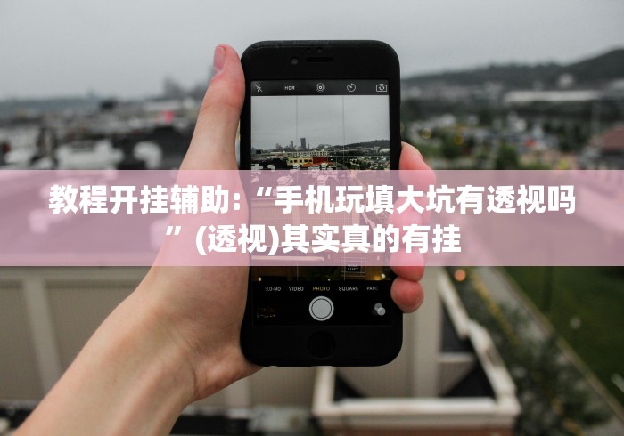 教程开挂辅助:“手机玩填大坑有透视吗”(透视)其实真的有挂